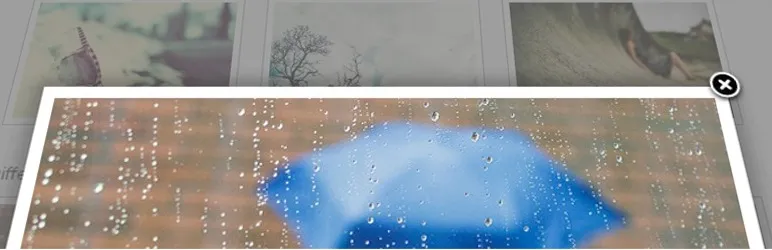 banner-772x250(1)